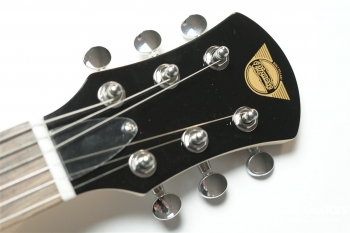 PGG-200 - Brown Sunburst